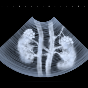 Radiology Diagnostic