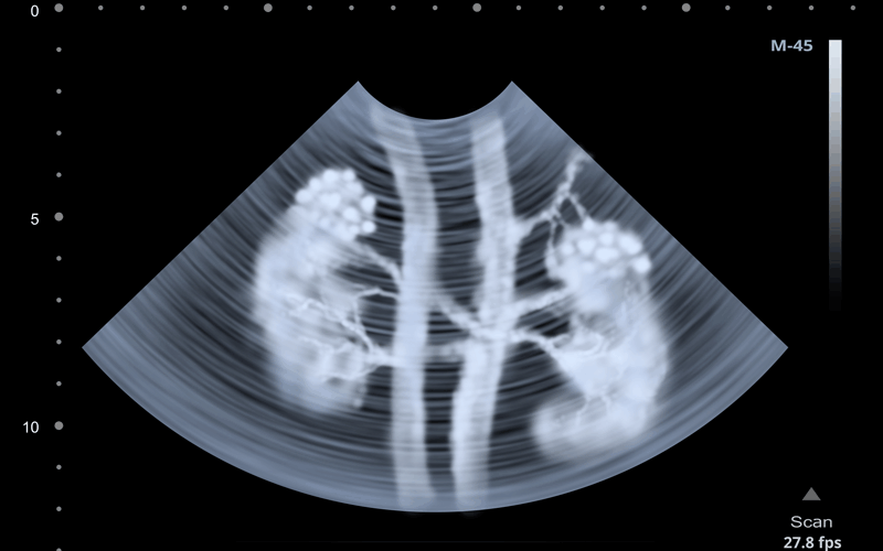 Radiology Diagnostic